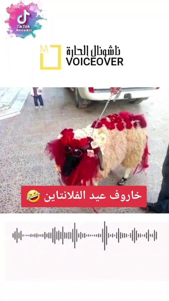 TikTok video thumbnail by aboudrl