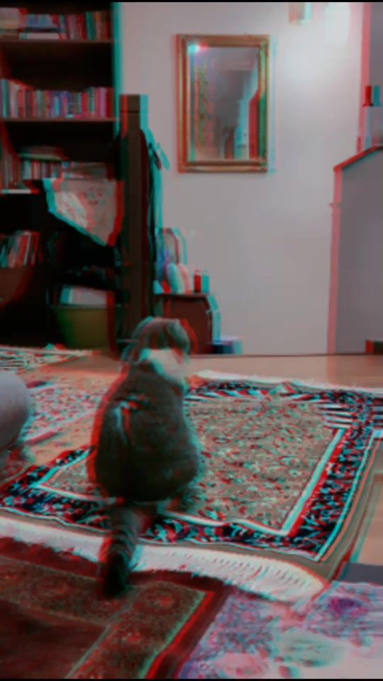TikTok video thumbnail by irmadonaa
