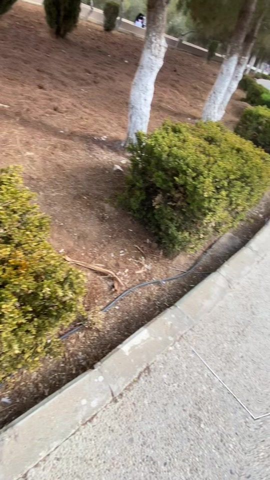 TikTok video thumbnail by temasameeh