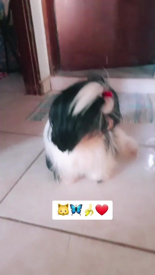 TikTok video thumbnail by chrystal_04_