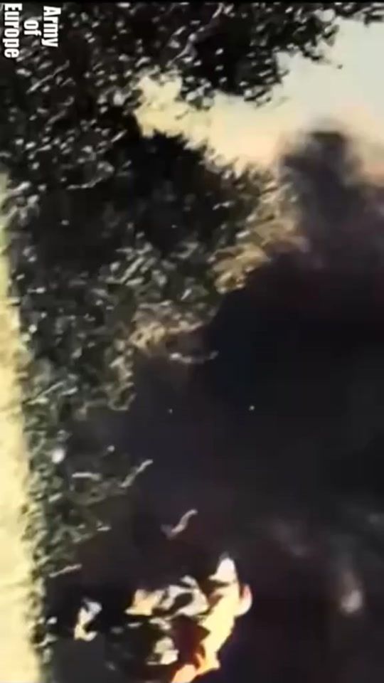 TikTok video thumbnail by morpech4