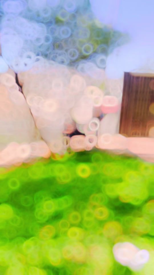TikTok video thumbnail by luay_omari2003