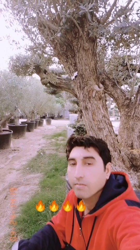 TikTok video thumbnail by khanrahman317