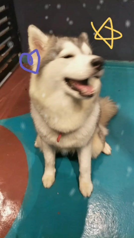 TikTok video thumbnail by genie0914