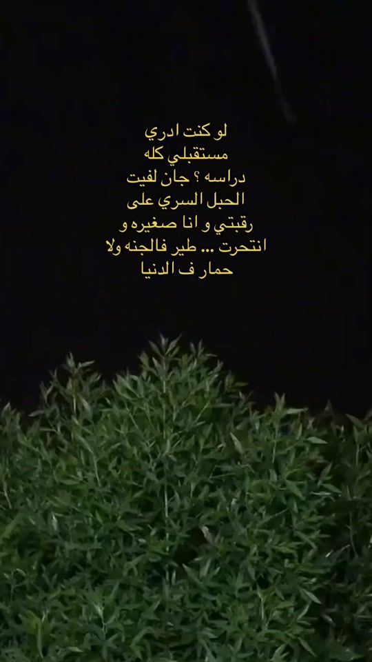 TikTok video thumbnail by roosha.n