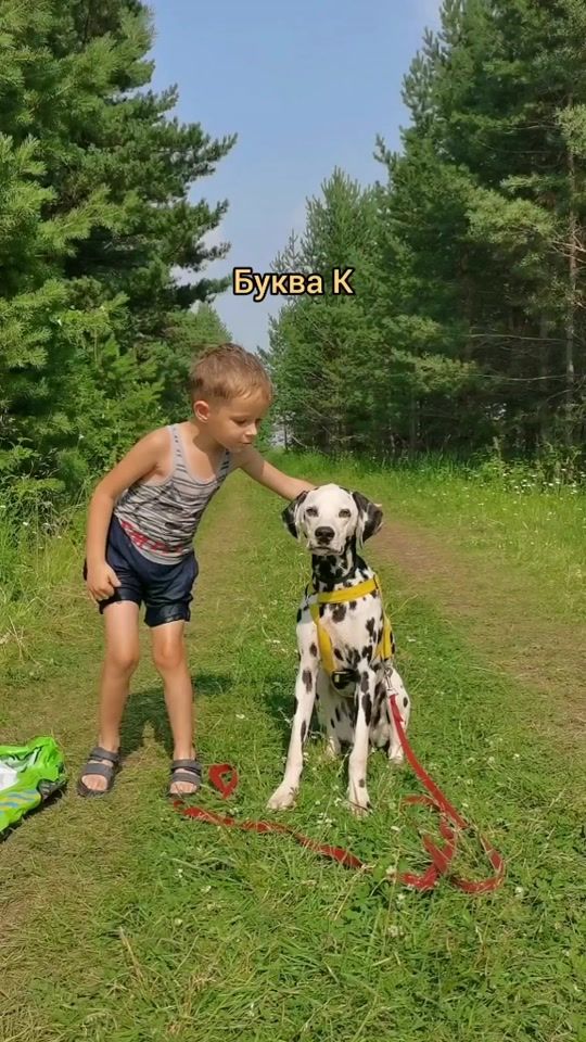 TikTok video thumbnail by shubina.smotri