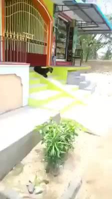 TikTok video thumbnail by 2183321744