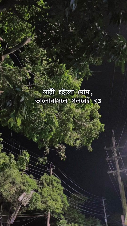 TikTok video thumbnail by _ani_ca_