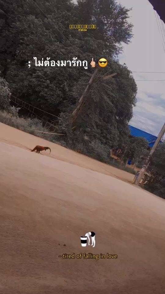 TikTok video thumbnail by pam.pnd