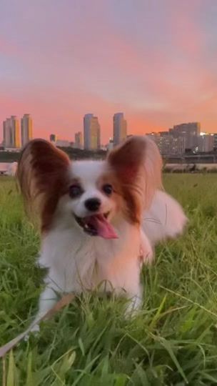 TikTok video thumbnail by realtinab00
