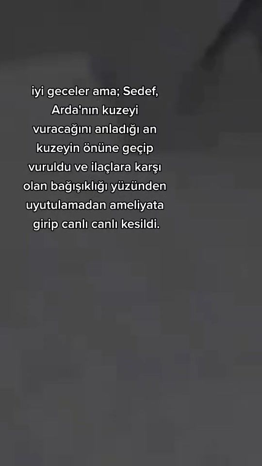 TikTok video thumbnail by endluial