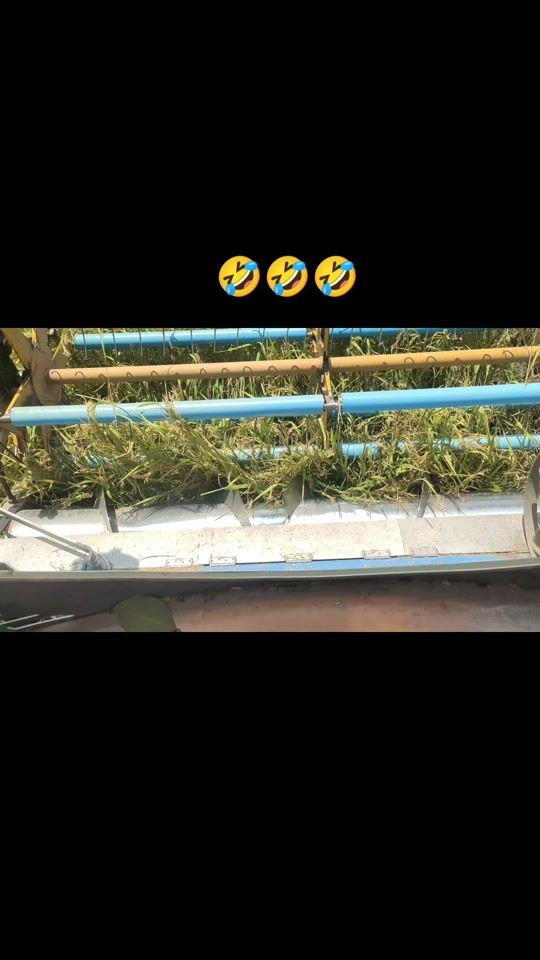 TikTok video thumbnail by user188637308