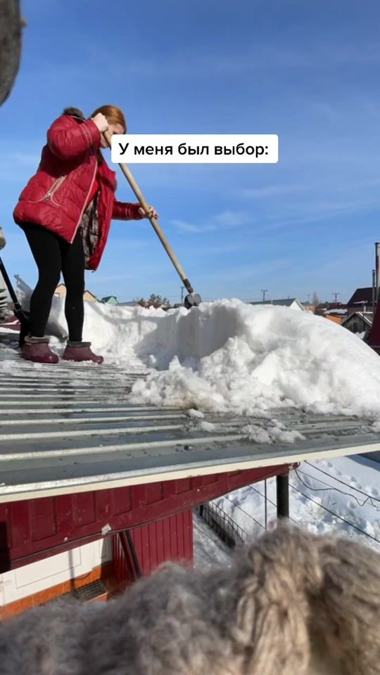 TikTok video thumbnail by saliy_vika