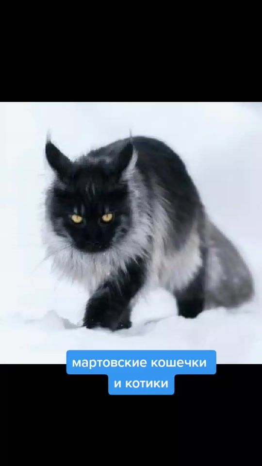 TikTok video thumbnail by babusyjgusj