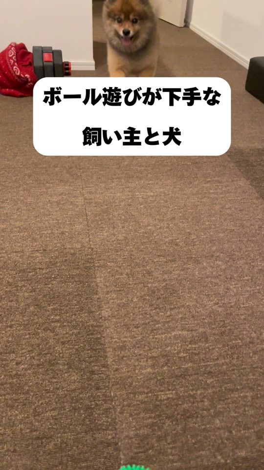 TikTok video thumbnail by kitakaze_s_lili