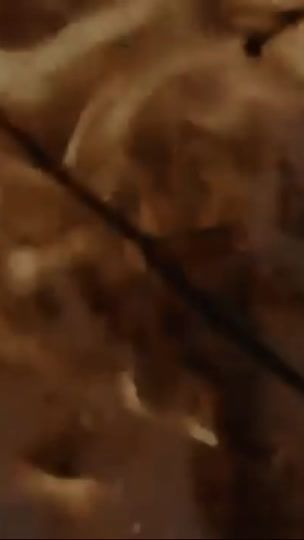 TikTok video thumbnail by _net_music_