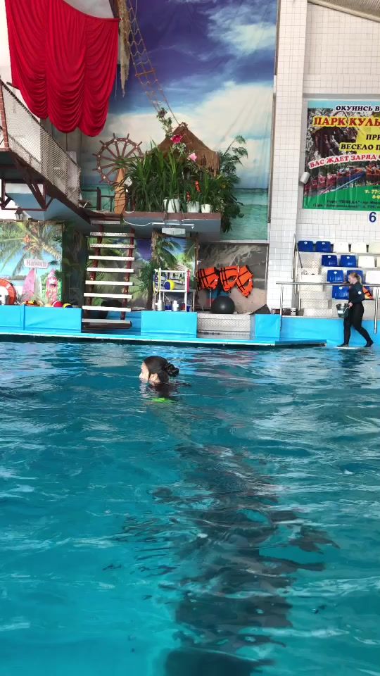 TikTok video thumbnail by dolphin_team.chelny