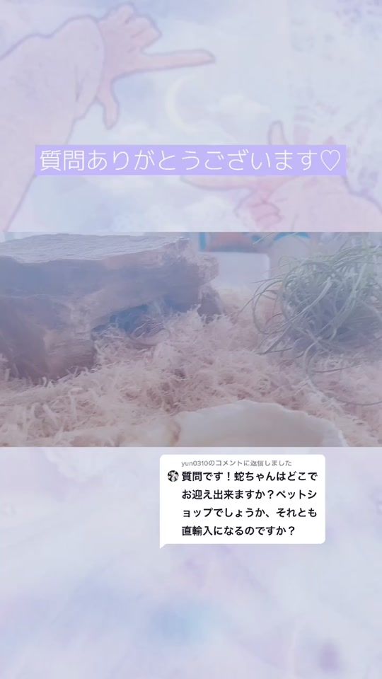 TikTok video thumbnail by bouyakun