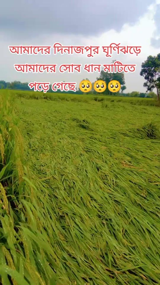 TikTok video thumbnail by rx..sayad.ali