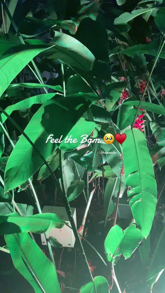 TikTok video thumbnail by m_sharmala_