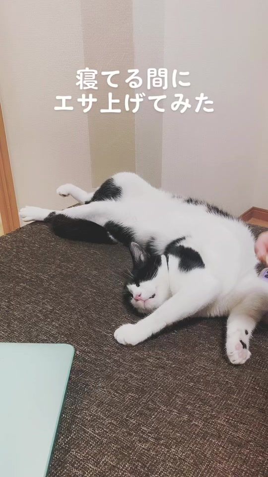 TikTok video thumbnail by super_isami