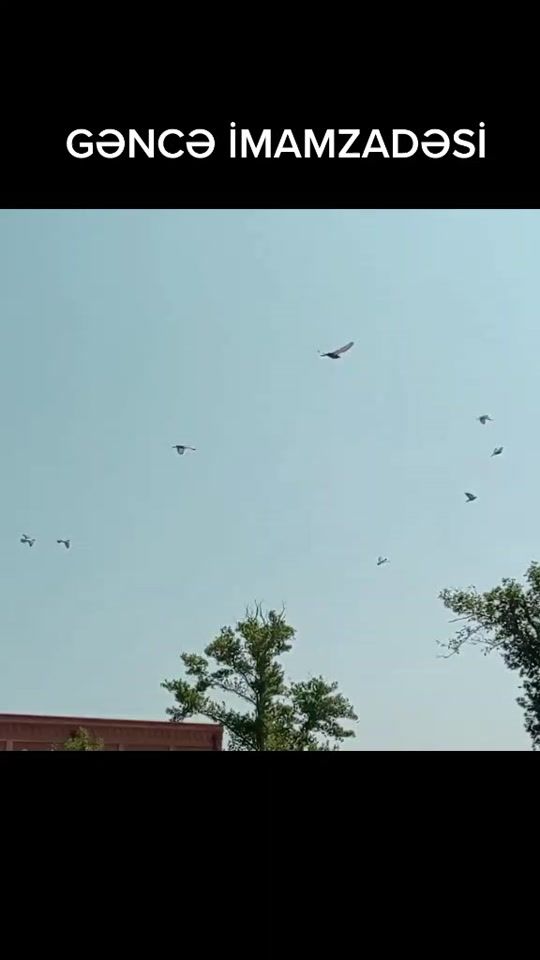TikTok video thumbnail by vaz_020_