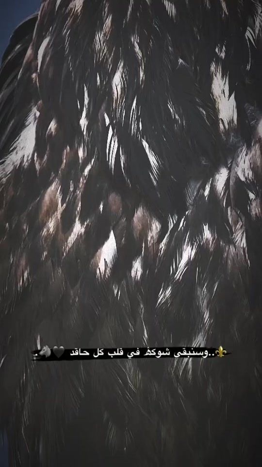 TikTok video thumbnail by x.7rs._12k