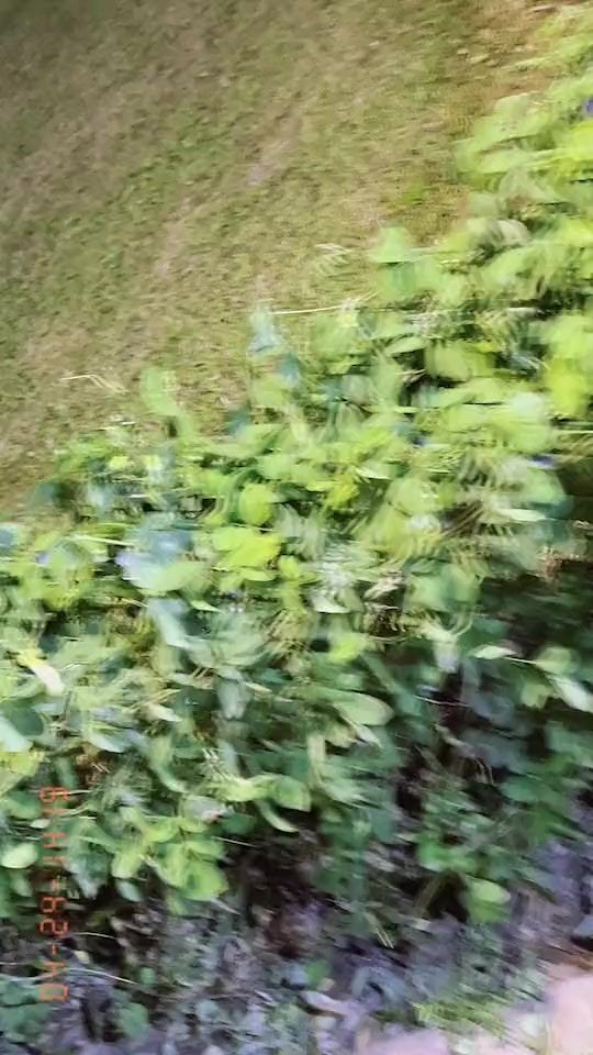 TikTok video thumbnail by ritu_hossain_34