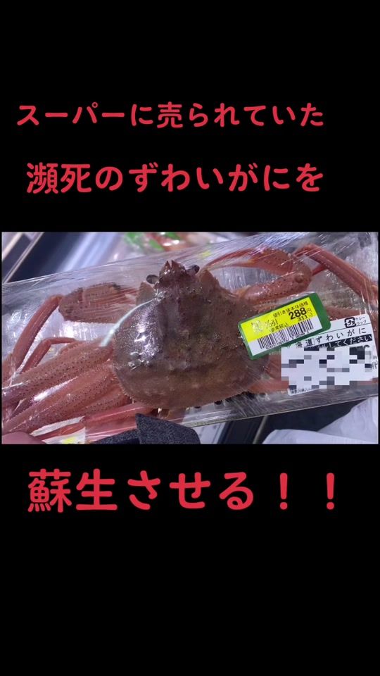 TikTok video thumbnail by yoshihiro.yamaguchi