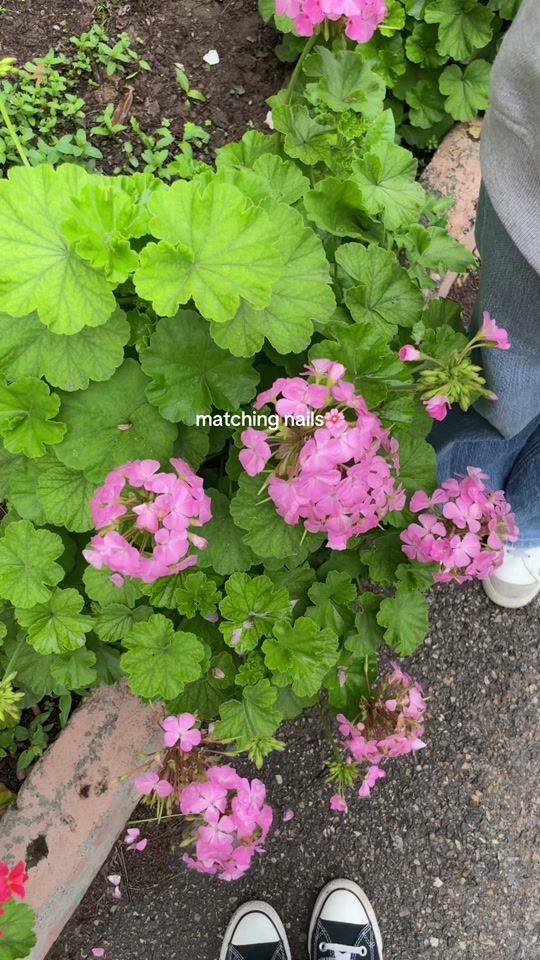 TikTok video thumbnail by mitiforlife