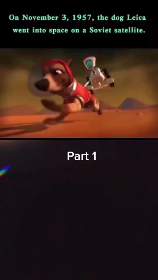 TikTok video thumbnail by quencychinggardose