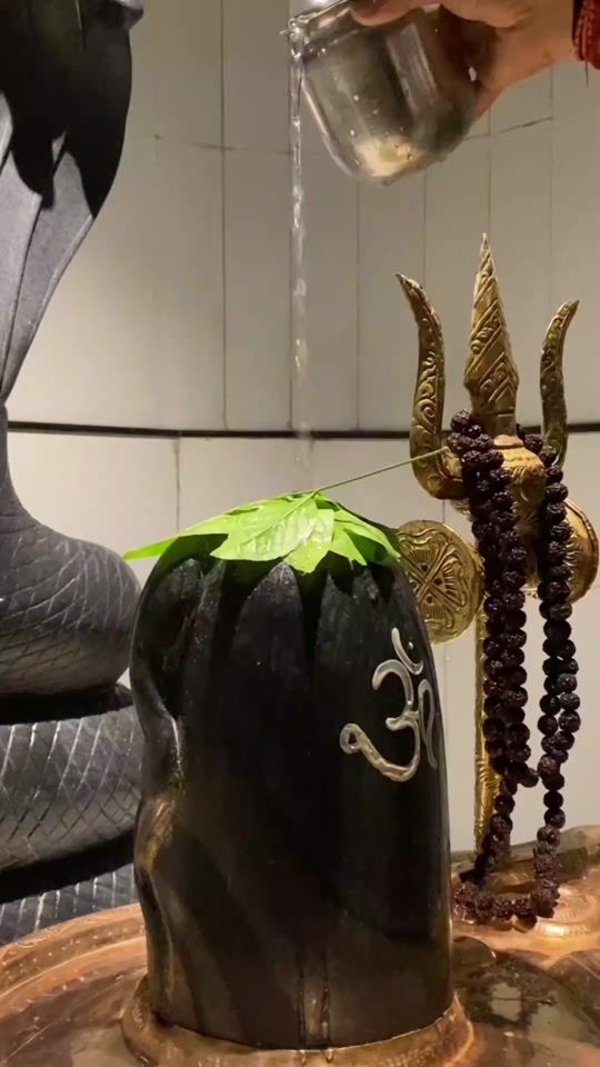 TikTok video thumbnail by rish_devi