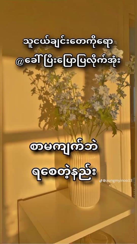 TikTok video thumbnail by moethatlinn