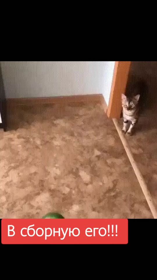 TikTok video thumbnail by natali56358