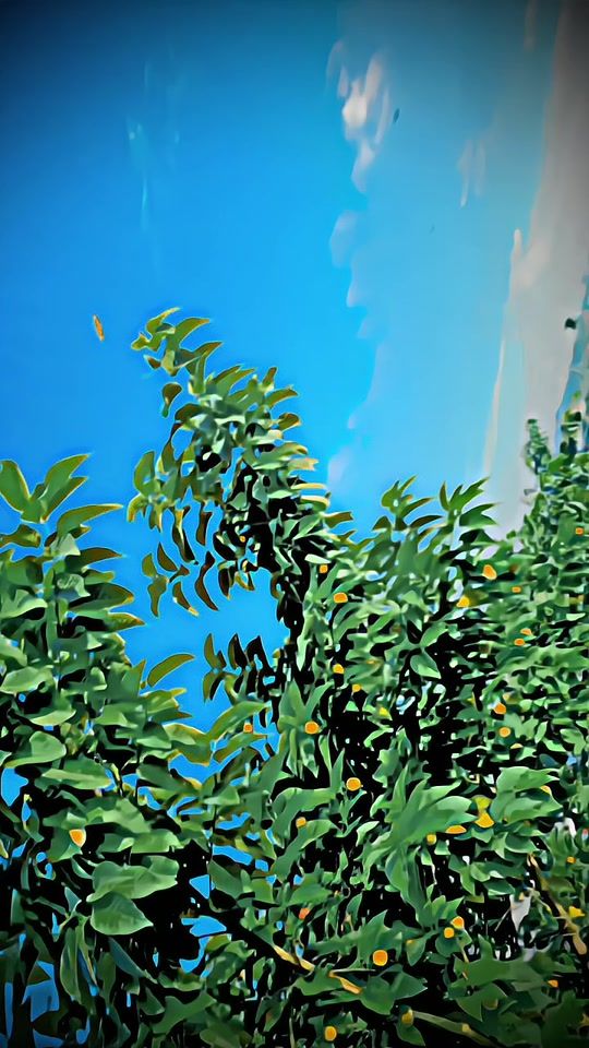 TikTok video thumbnail by siam3012