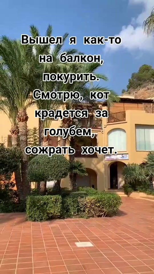 TikTok video thumbnail by taniaumop5