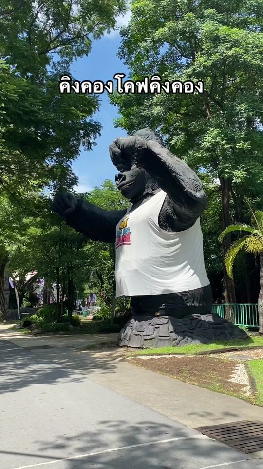 TikTok video thumbnail by ctccp