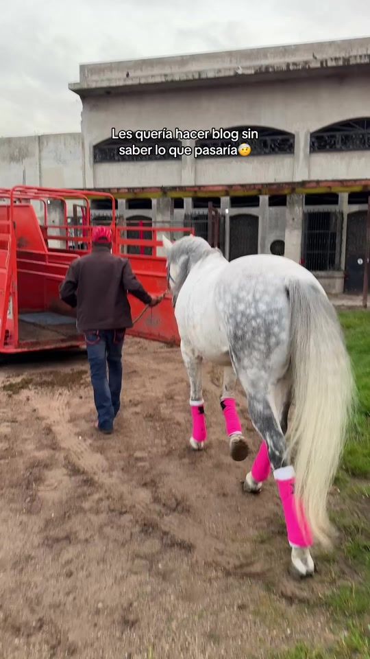 TikTok video thumbnail by jazminlares5