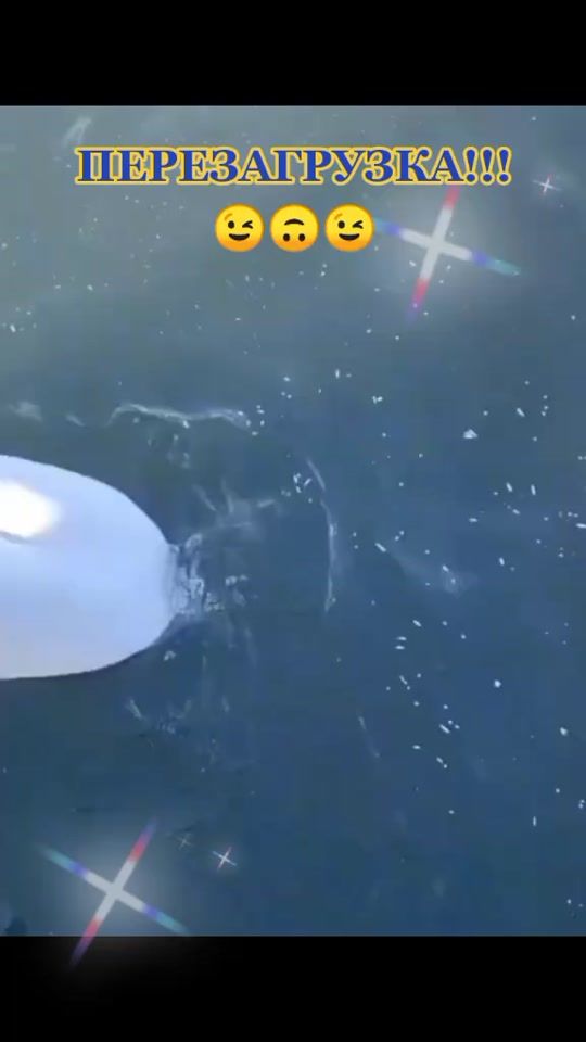 TikTok video thumbnail by larissapoltavets