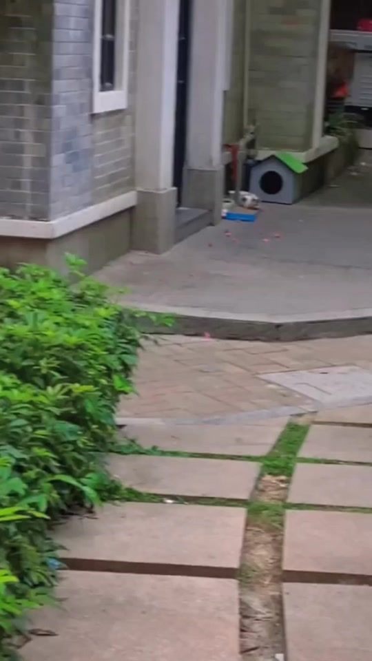 TikTok video thumbnail by zanoloverz