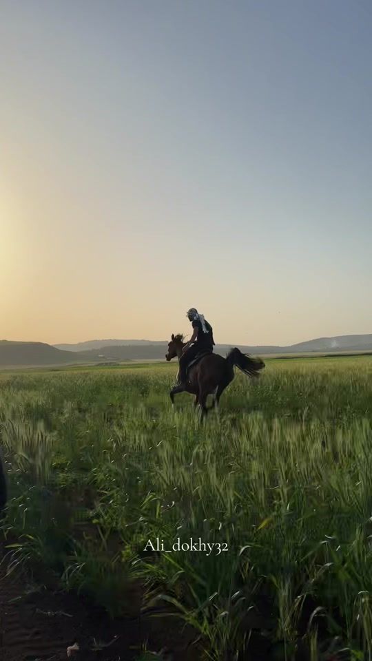 TikTok video thumbnail by ali_dokhy32