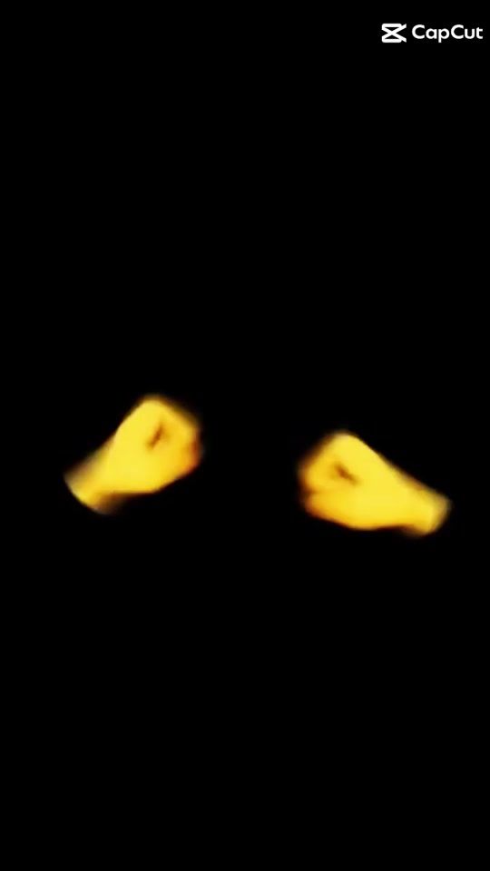TikTok video thumbnail by moishadow6066