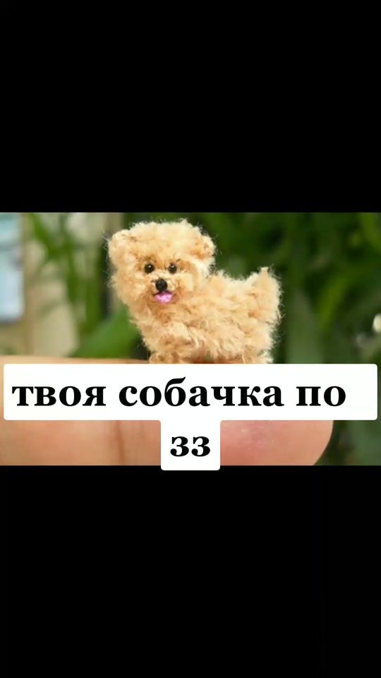 TikTok video thumbnail by baby_lew1