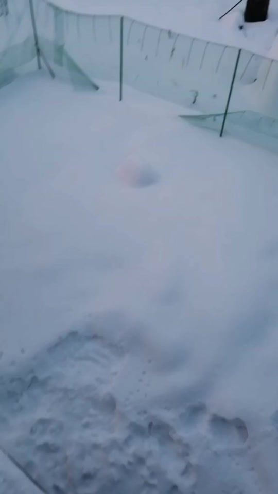 TikTok video thumbnail by artemoru