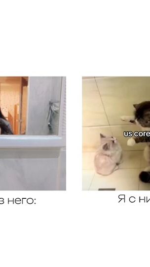 TikTok video thumbnail by lizzook__0501__