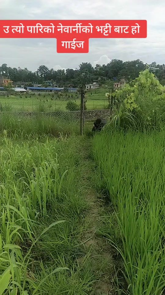 TikTok video thumbnail by pawankhanal1