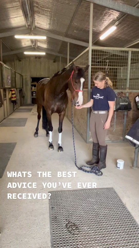 TikTok video thumbnail by courtneymunroequestrian