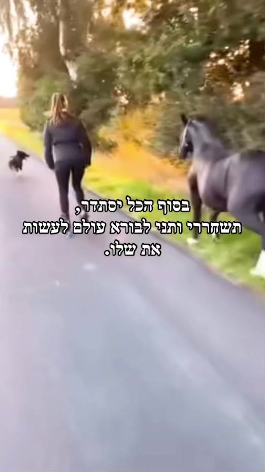 TikTok video thumbnail by godtheking__