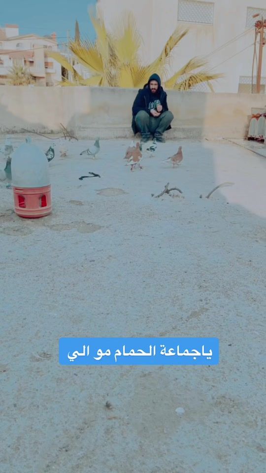 TikTok video thumbnail by masab67