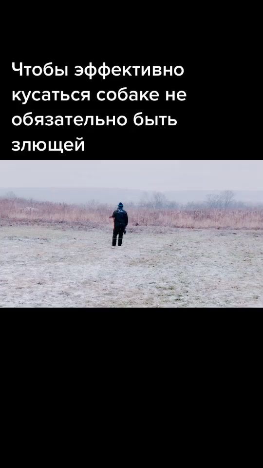 TikTok video thumbnail by yar_doberman